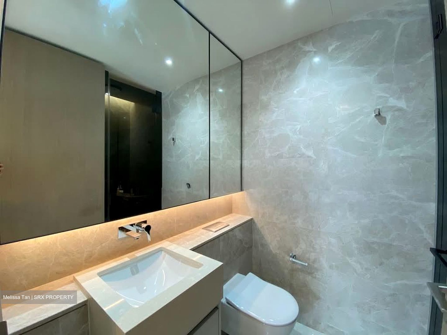 Amber Park (D15), Condominium #574501461
